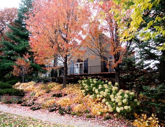 Twin Cities home photographed in fall